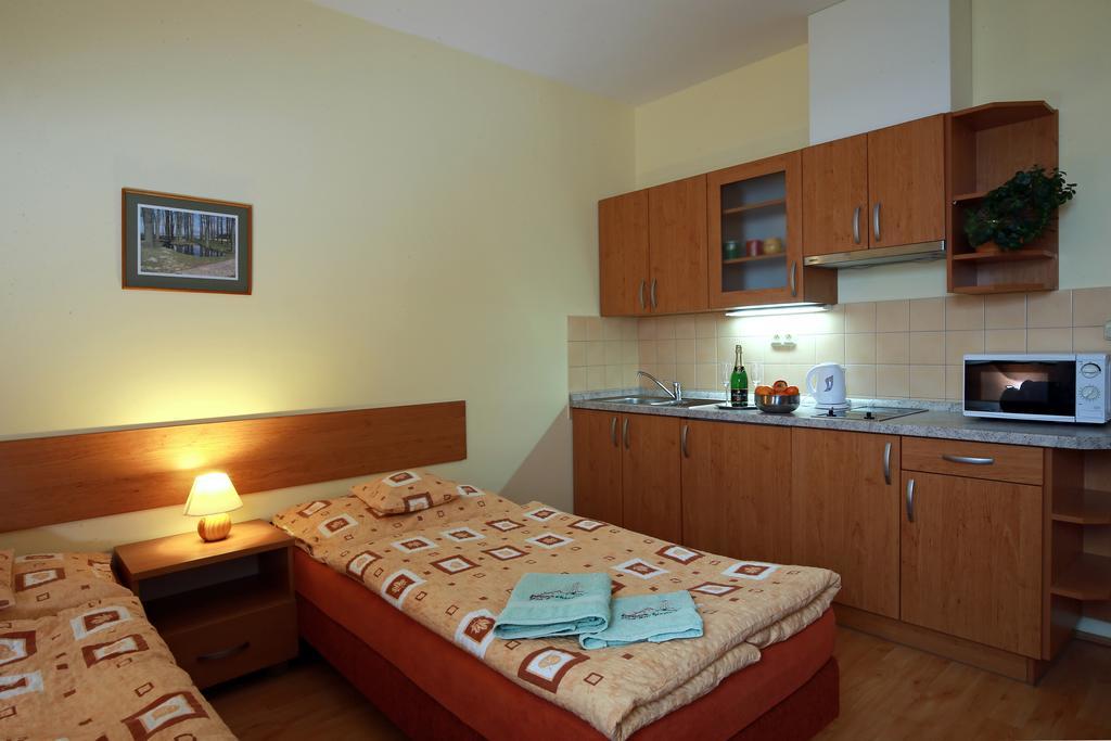Wellness Penzion Pod Rozhlednou Kostelec nad Orlicí 部屋 写真