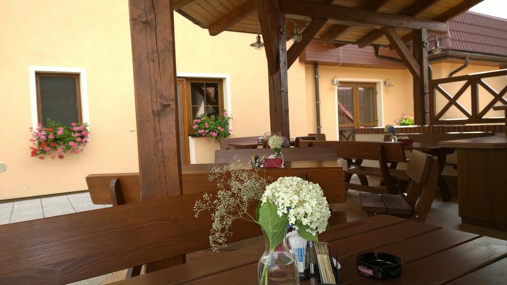 Wellness Penzion Pod Rozhlednou Kostelec nad Orlicí エクステリア 写真